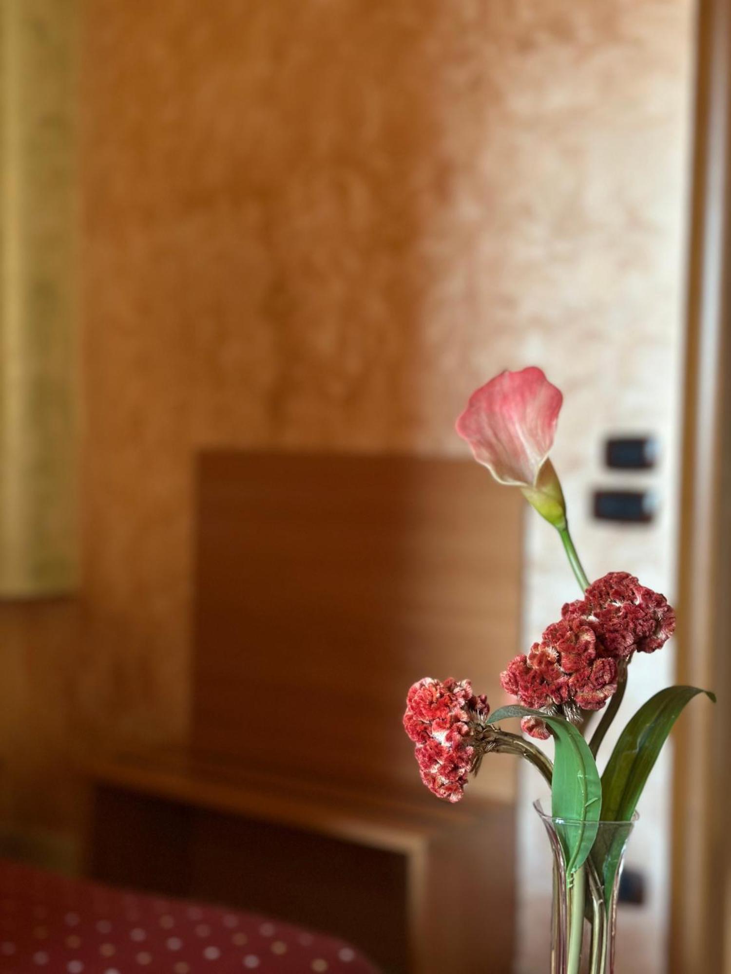 Hotel Il Giardino Degli Aranci Nola Dış mekan fotoğraf
